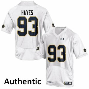 Men's Jay Hayes White Notre Dame Fighting Irish #93 Authentic Stitched Jersey